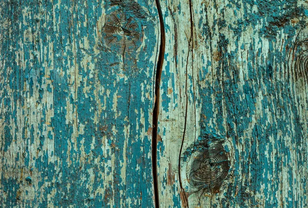 Modré dřevo — Stock fotografie