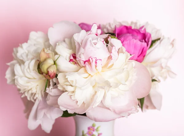 Peonie su rosa — Foto Stock