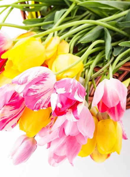 Tulpen in de mand — Stockfoto