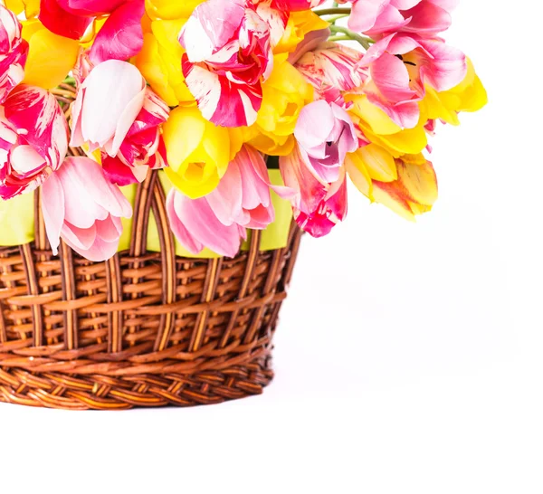 Tulipanes en cesta — Foto de Stock