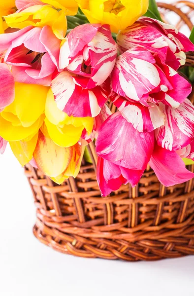 Tulips in basket — Stock Photo, Image