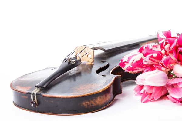Zwarte oude viool — Stockfoto