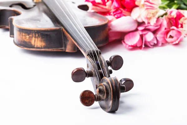 Vecchio violino nero — Foto Stock