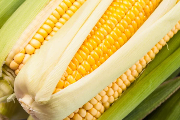 Kukorica háttér — Stock Fotó