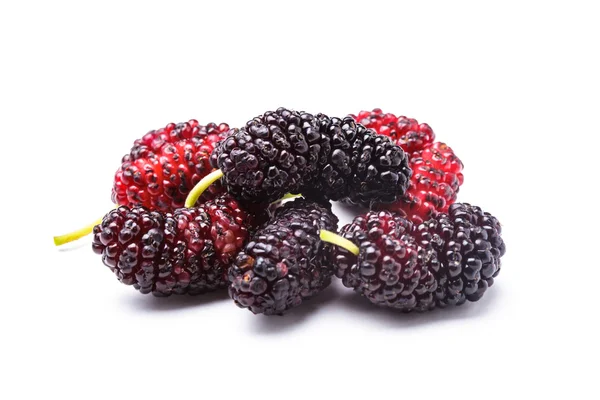 Mulberry berries — Stock Photo, Image