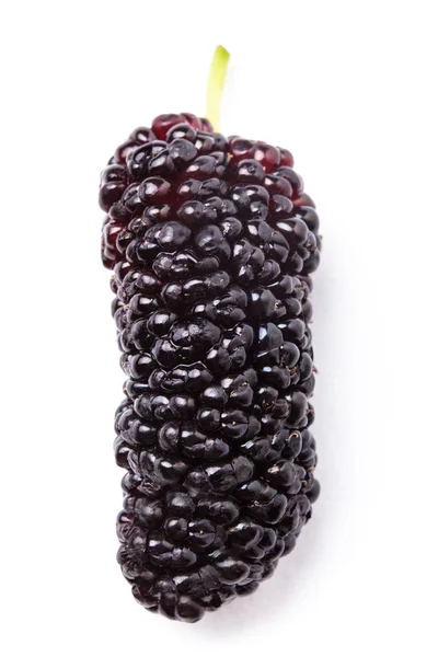 Mulberry berry — Stock Photo, Image