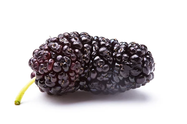 Mulberry berry — Stock Photo, Image