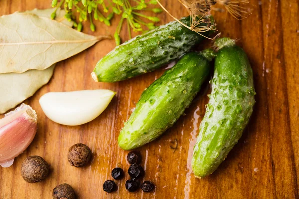 Preparation of small cucumber — Stock Photo, Image