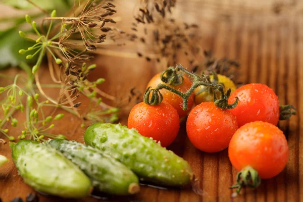 Tomater och cucumgers — Stockfoto