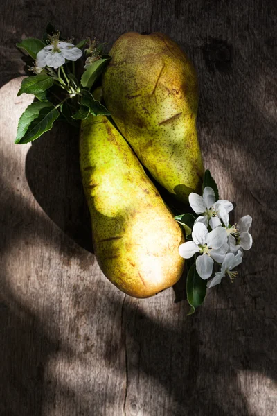 stock image Pears and blossom