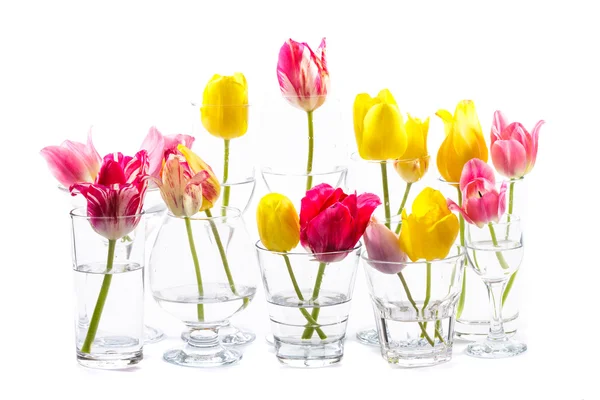 Tulipanes en gafas — Foto de Stock