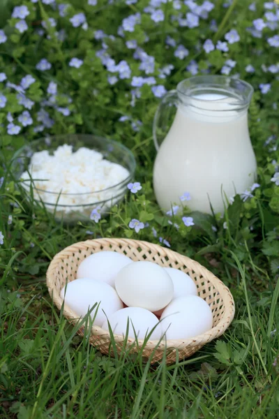 Mjölkprodukter — Stockfoto