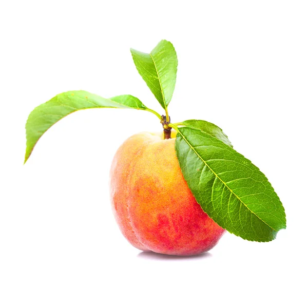 Один персик — стоковое фото