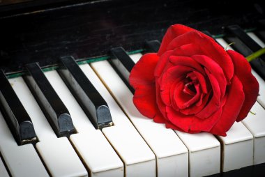 Piano keyboard and rose clipart