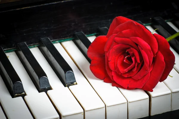 Teclado piano e rosa — Fotografia de Stock