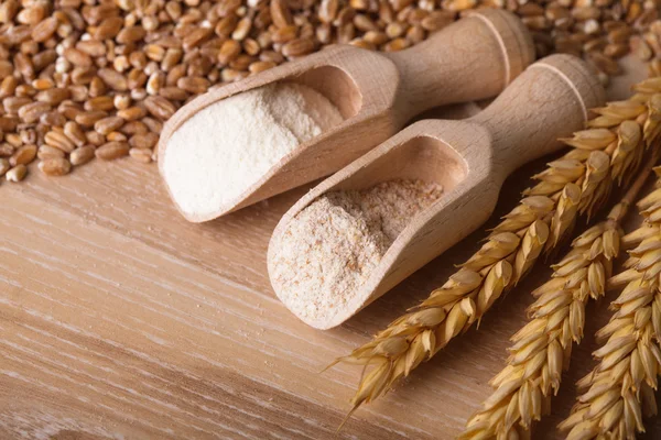 Pasto e farina — Foto Stock
