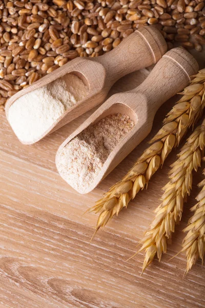 Pasto e farina — Foto Stock