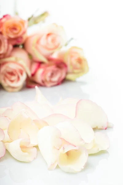 Троянди рожеві пелюстки — стокове фото