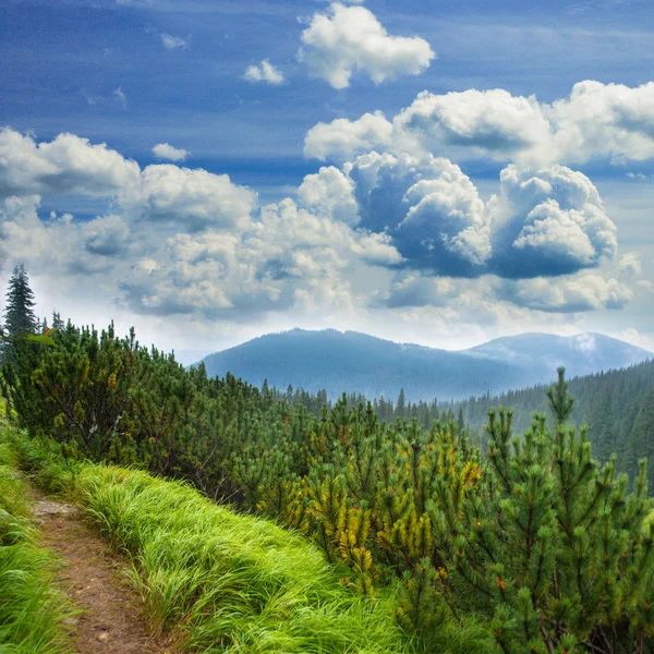 Landscape with pathway — Stock Photo, Image