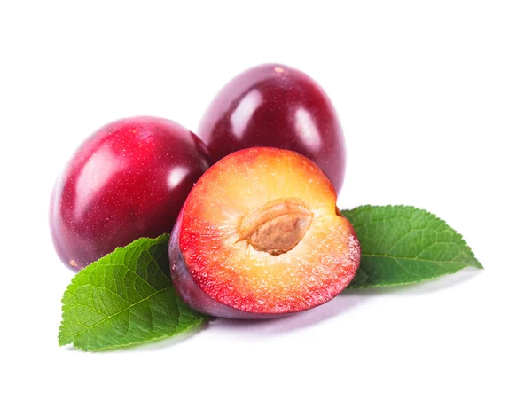 Purple plums — Stock Photo, Image