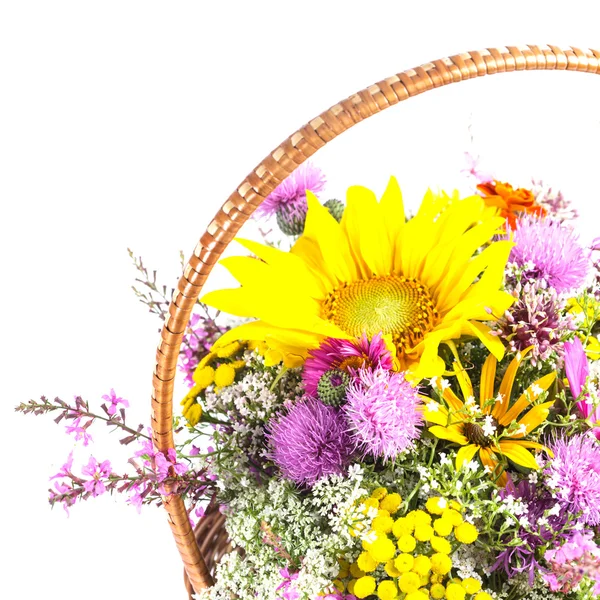 Bouquet di fiori selvatici — Foto Stock