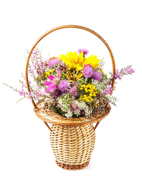 Strauß wilder Blumen — Stockfoto