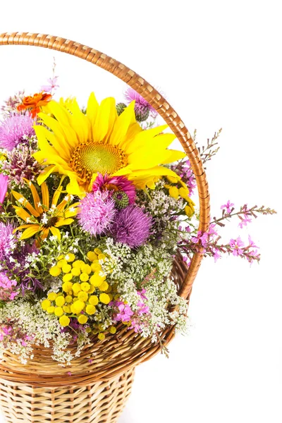 Bouquet of wild flowers — Stock Photo, Image