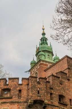 wawel, krakow, Royal castle