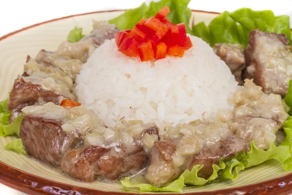 Pirinç ve domuz Japon usulü. — Stok fotoğraf