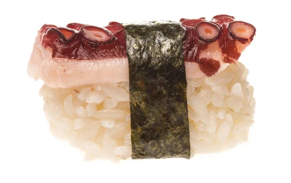 Sushi japonés con pulpo de carne sobre fondo blanco —  Fotos de Stock