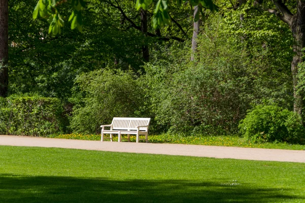 stock image Summer park, trees