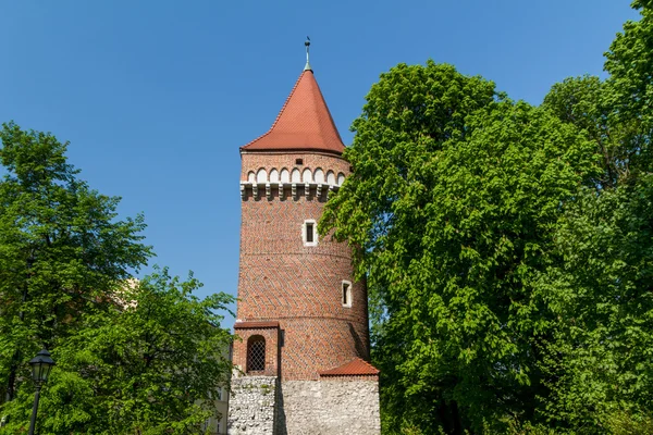 Castelo real em Wawel, Cracóvia — Fotografia de Stock