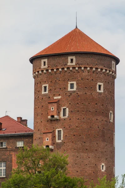 Castelul regal din Wawel, Cracovia — Fotografie, imagine de stoc