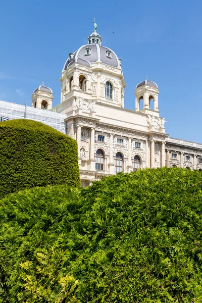 Muzeum přírodní historie, Vídeň — Stock fotografie