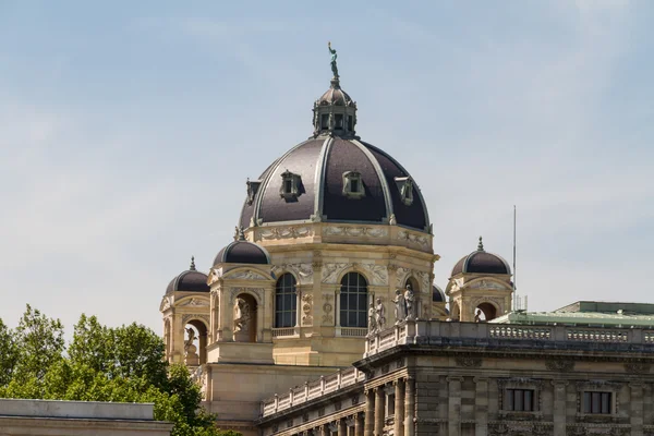 Muzeum historii naturalnej w Wiedniu — Zdjęcie stockowe