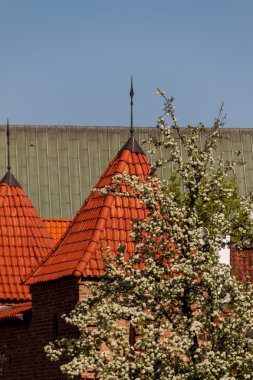 Polonya görülecek. Rönesans barbican Varşova tarihi kent