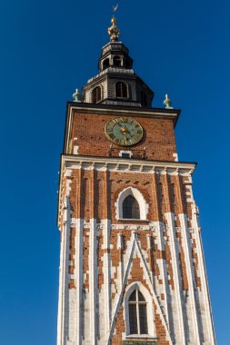 krakow ana Meydanı Belediye kule