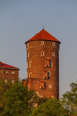 wawel, krarow yılında Royal castle