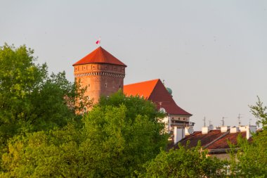 wawel, krarow yılında Royal castle