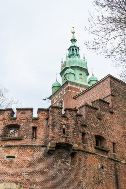 wawel, krakow, Royal castle