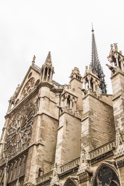 Notre Dame (Paris)