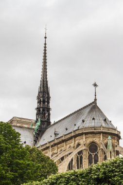 Notre Dame (Paris)