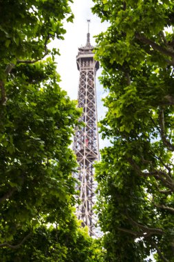 paris tour Eiffel