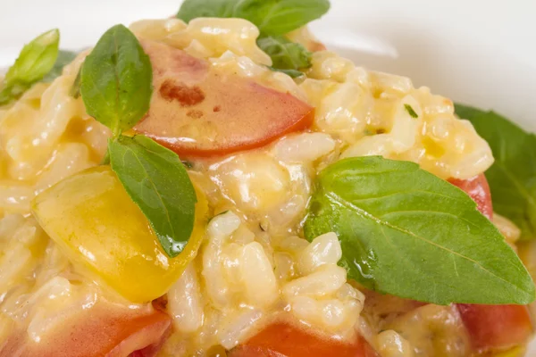 Foto von köstlichen Risotto-Gericht mit Kräutern und Tomaten auf weißem B — Stockfoto