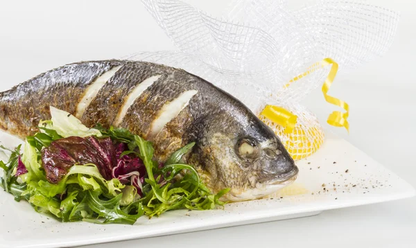 Рыба Дорада с салатом на белой тарелке. Снимок студии — стоковое фото