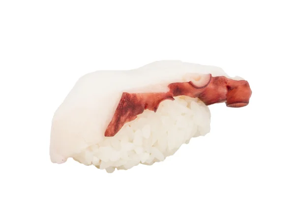흰색 바탕에 고기 낙 지와 일본 스시 — 스톡 사진