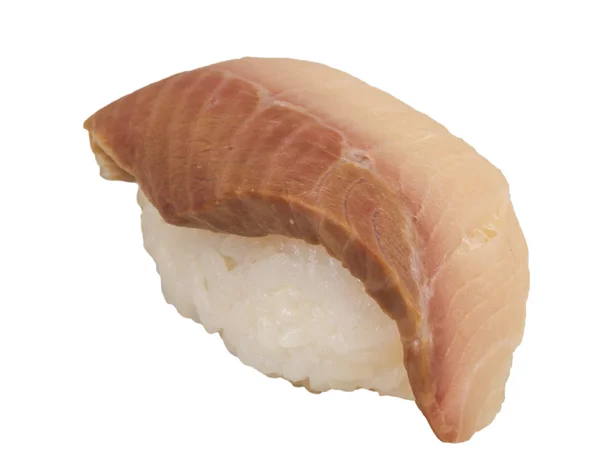 Close-up de um jovem sushi de cauda amarela — Fotografia de Stock