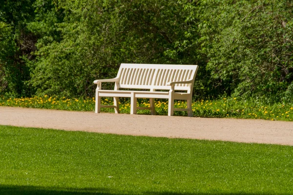 stock image Summer park, trees