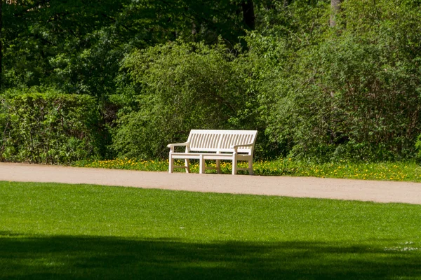 stock image Summer park, trees