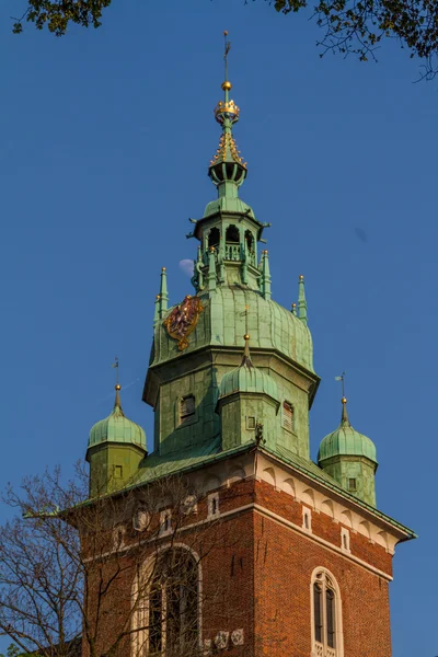 Château royal à Wawel, Cracovie — Photo